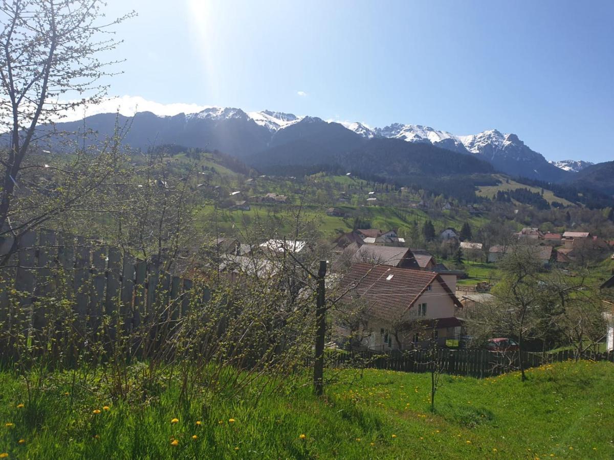 Pensiunea Sarah Bran Bran  Dış mekan fotoğraf