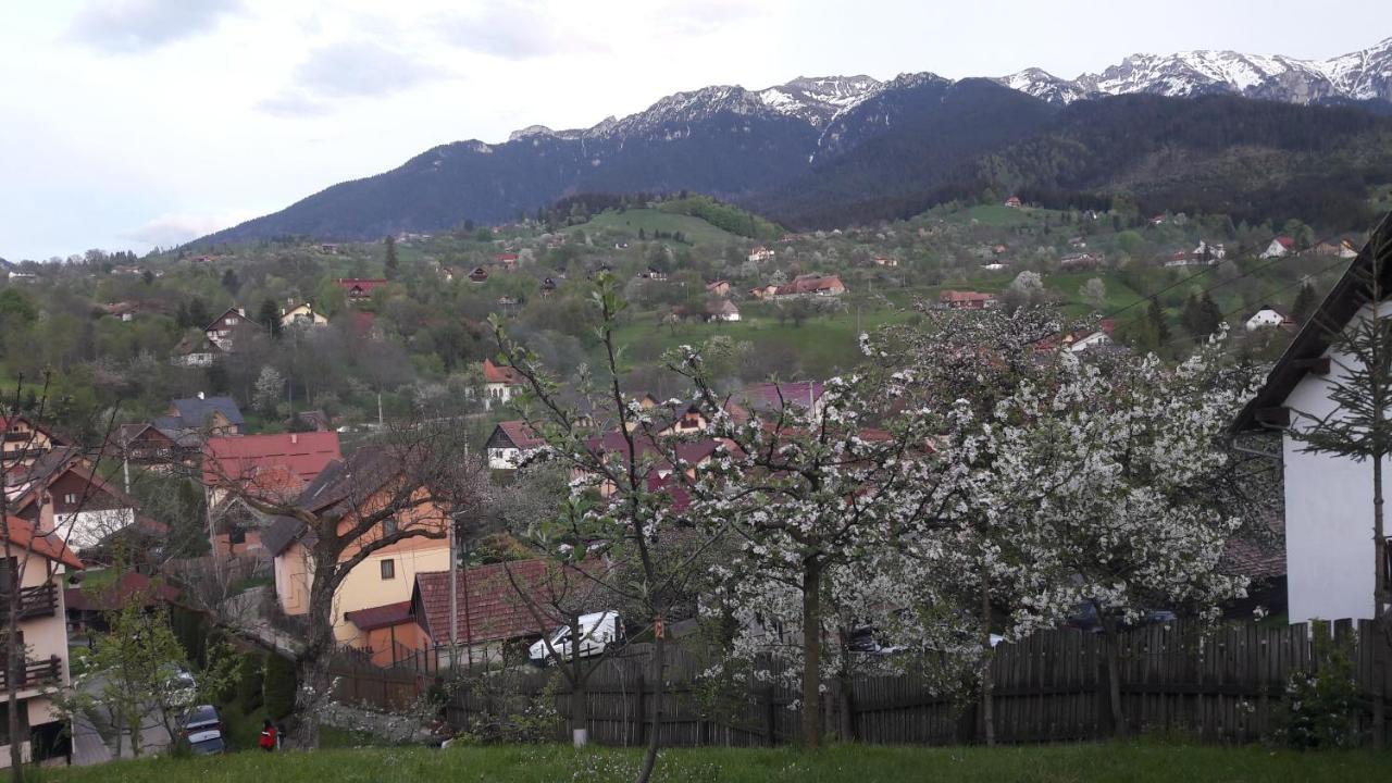 Pensiunea Sarah Bran Bran  Dış mekan fotoğraf