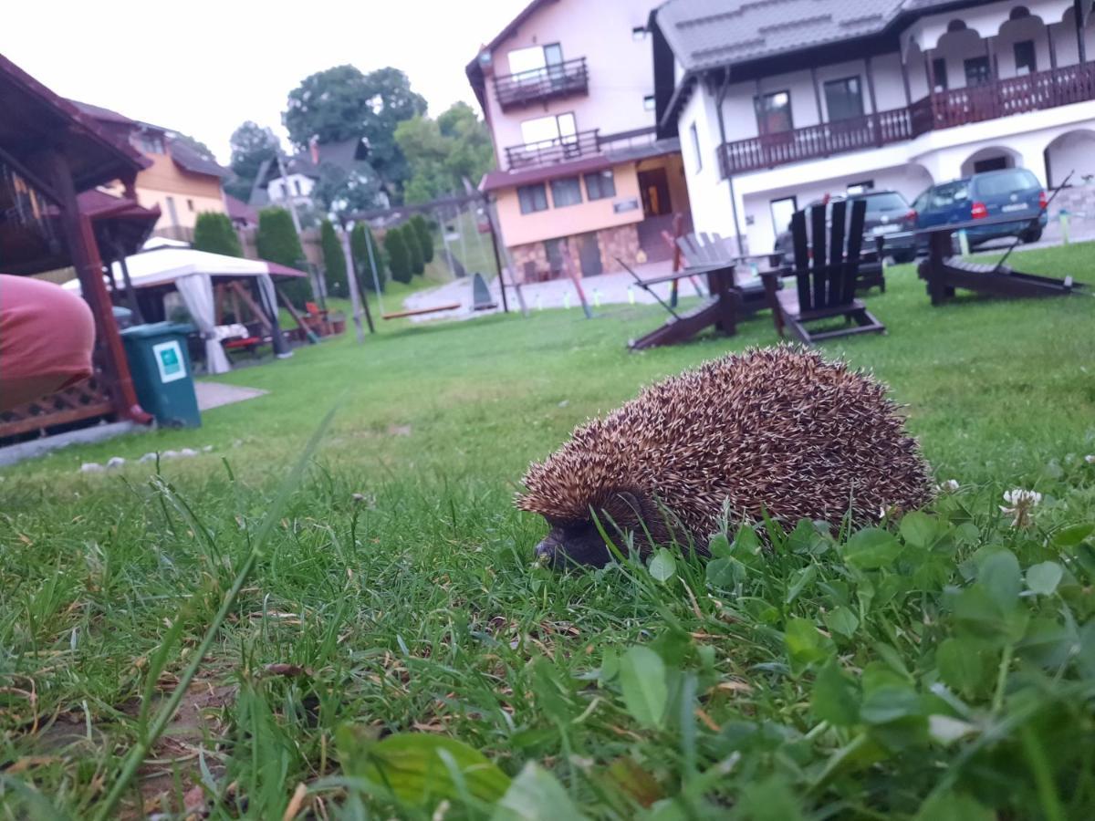 Pensiunea Sarah Bran Bran  Dış mekan fotoğraf